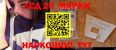 гидропоника Дубна