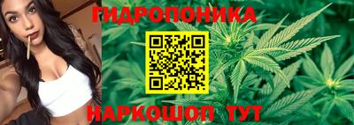 гидропоника Дубна