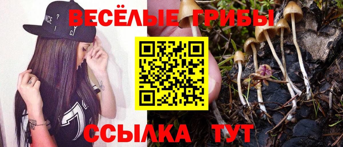 Галлюциногенные грибы мицелий Нижневартовск