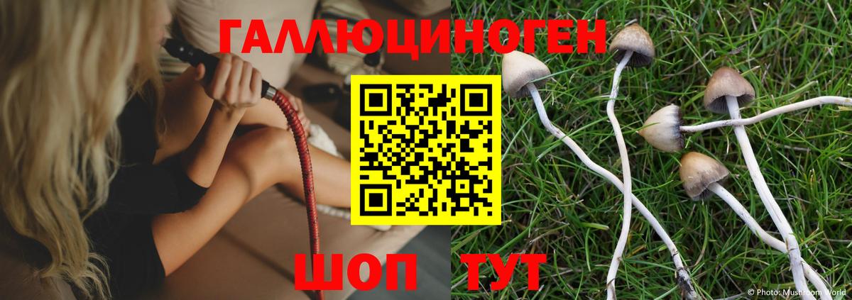 Нижневартовск  Галлюциногенные грибы MAGIC MUSHROOMS  Вход с VPN 